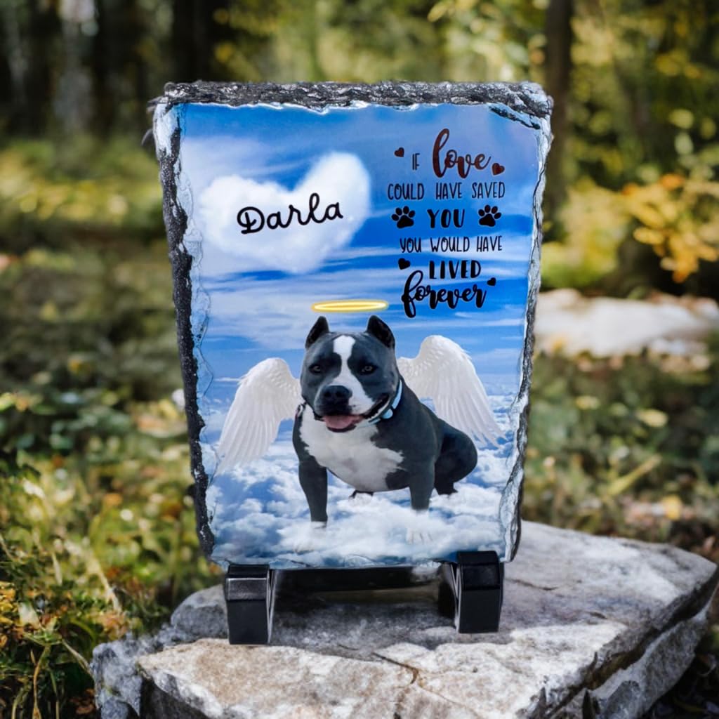 Custom in Loving Memory Dog, cat Stone with Photo, Memorial Gifts for pet Loss, Personalized Pet Memorial Gifts with Angel Wings