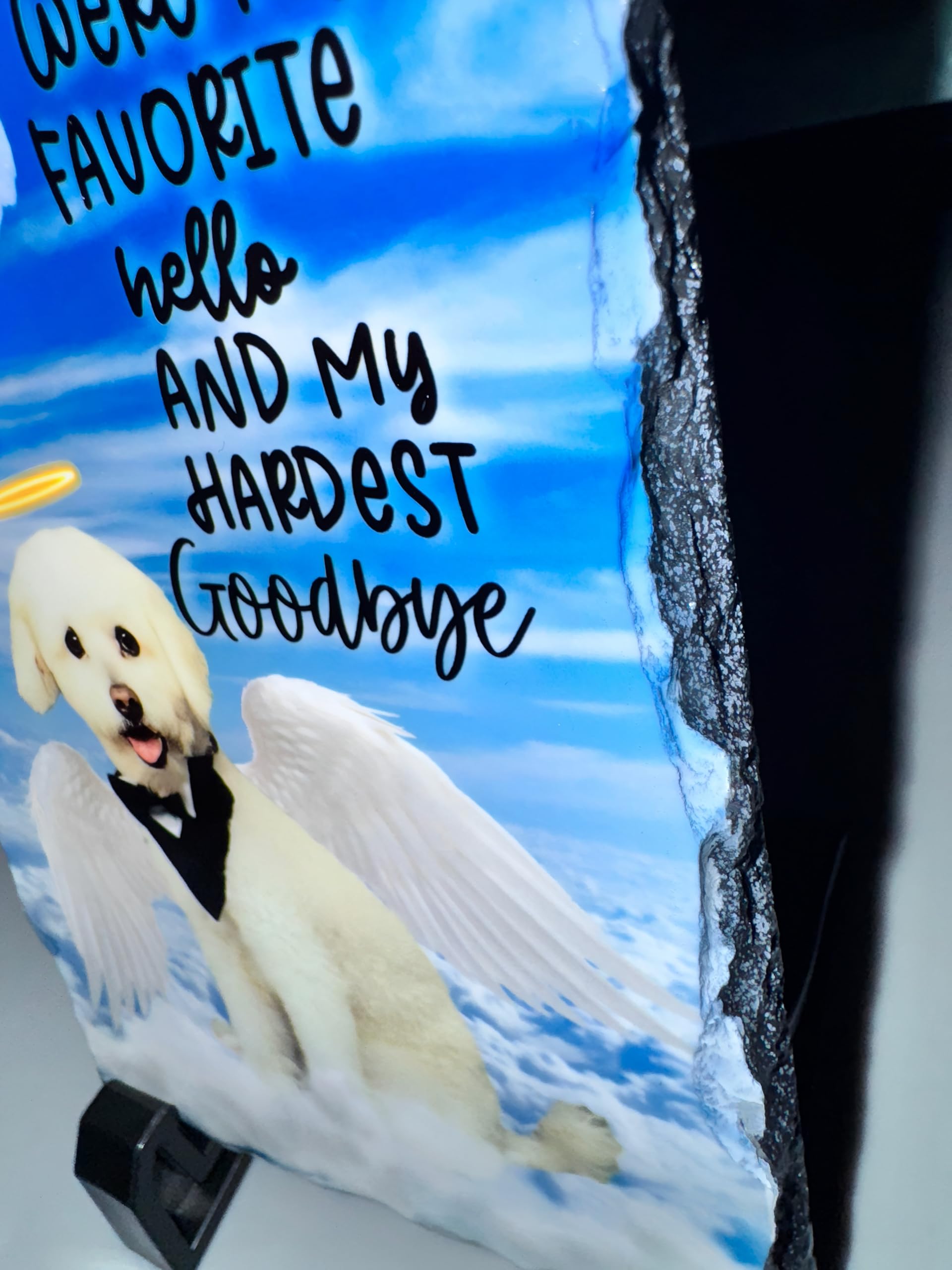 Custom in Loving Memory Dog, cat Stone with Photo, Memorial Gifts for pet Loss, Personalized Pet Memorial Gifts with Angel Wings